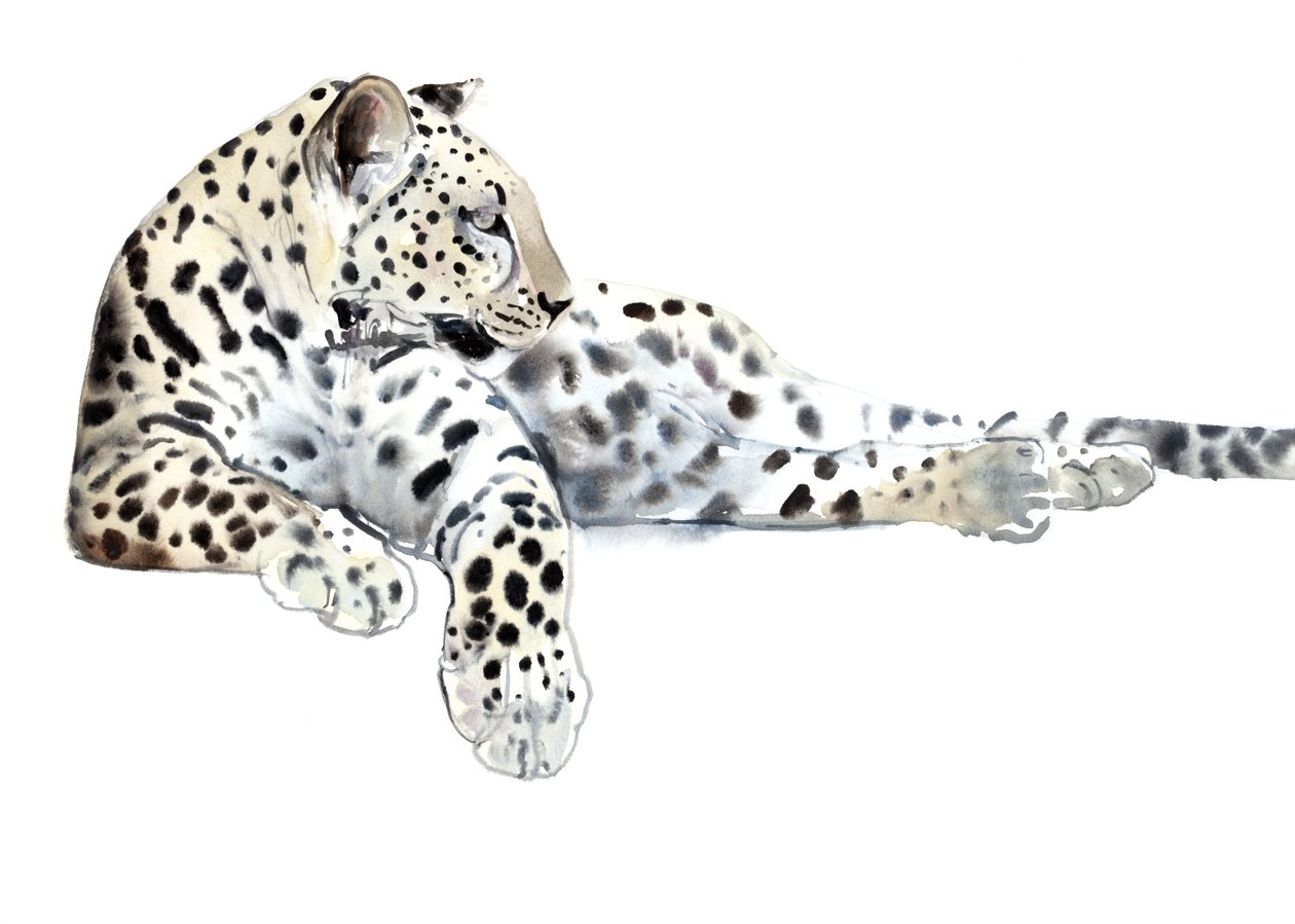 Uzun (Arap Leoparı), 2015, (kağıt üzerine suluboya ve guaj boya) by Mark Adlington
