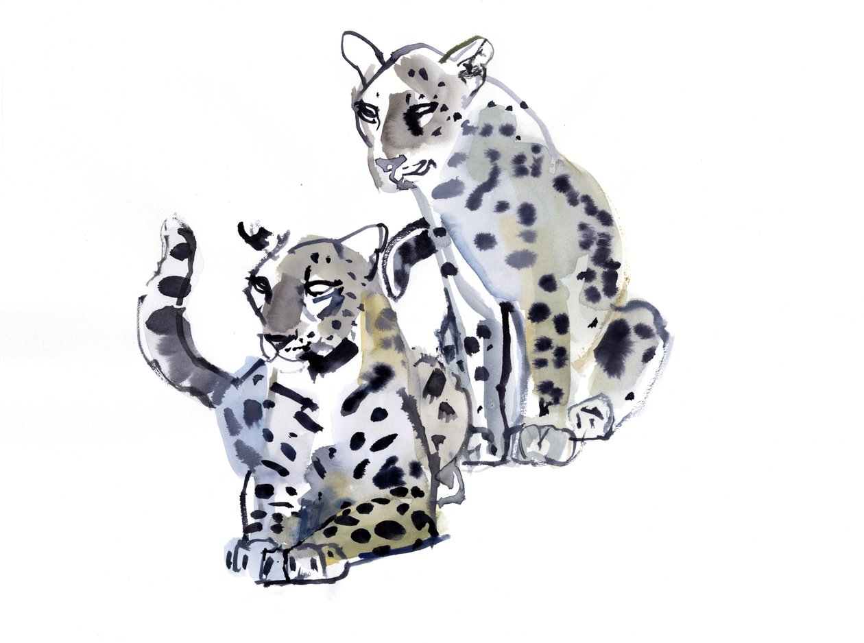 Anne ve Oğul (Arap Leoparları), 2008 by Mark Adlington
