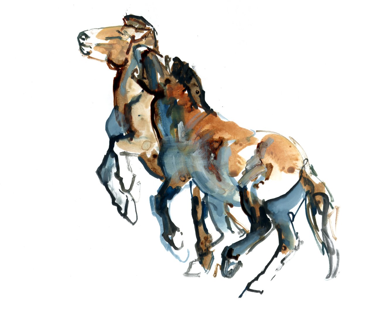 Boyunbağı, 2013 (sennelier mürekkebi, sulu boya ve guaj) by Mark Adlington
