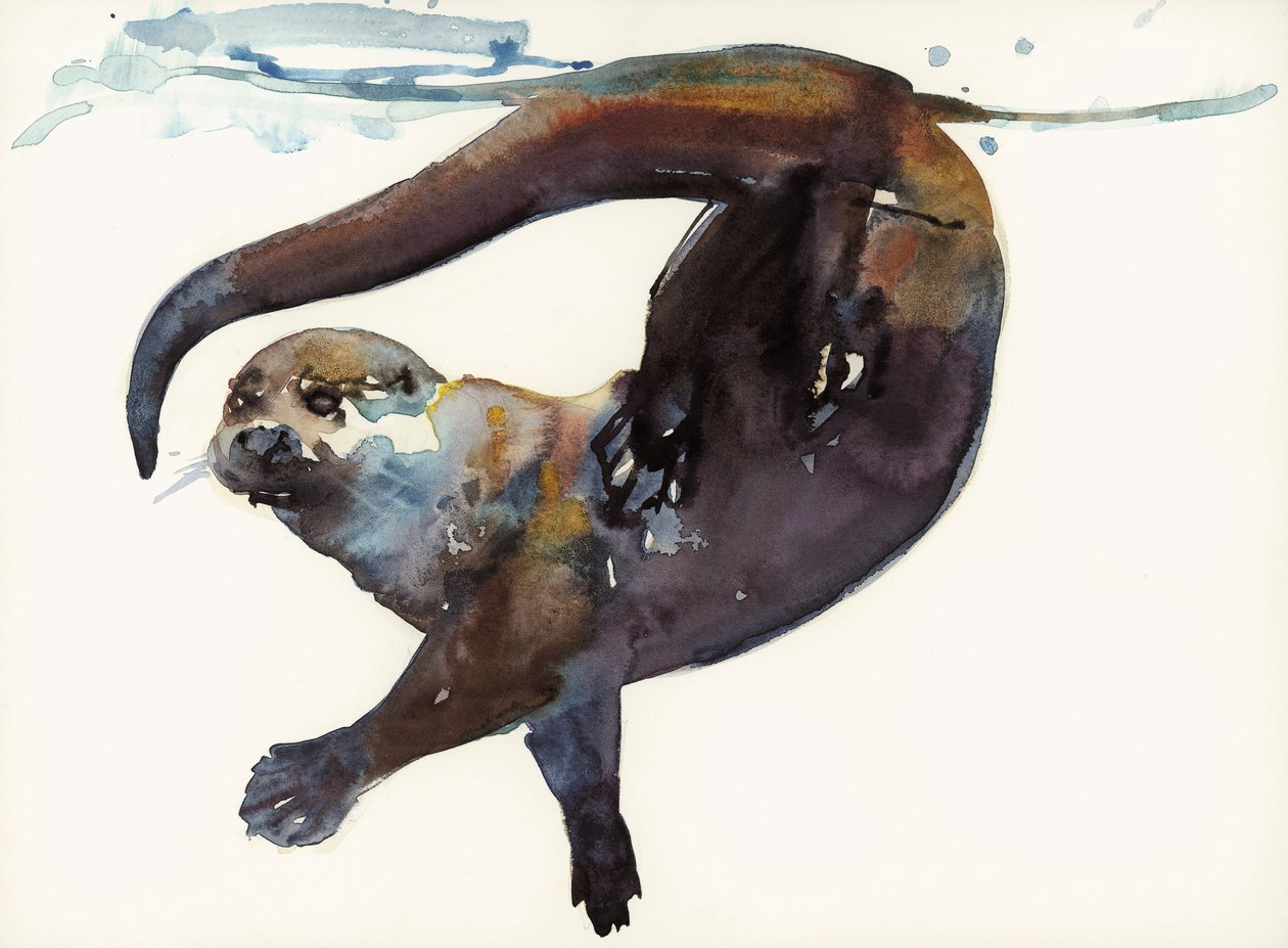 Otter Çalışması II -
