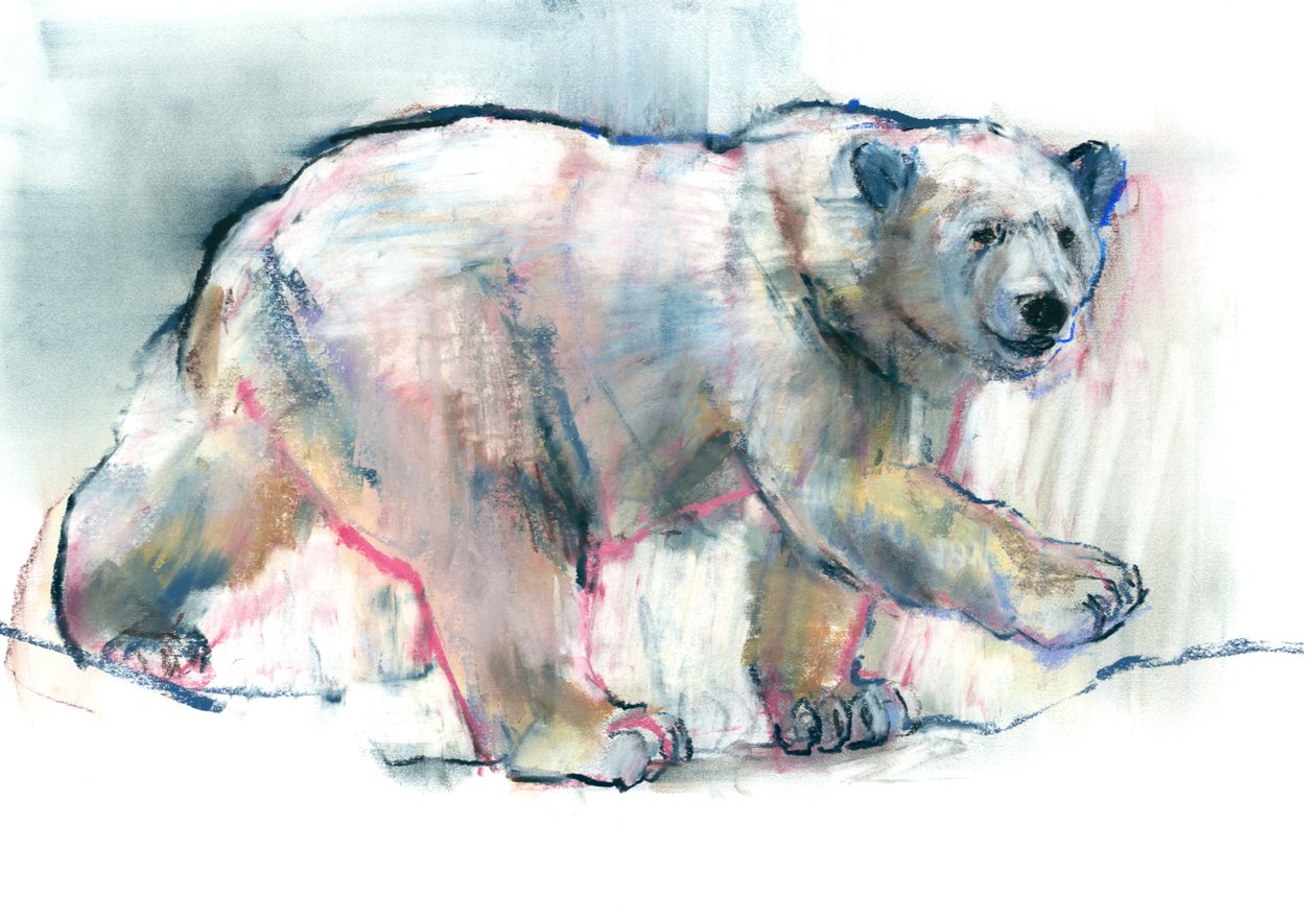 Pembe, 2016, (kağıt üzerinde conté ve pastel) by Mark Adlington