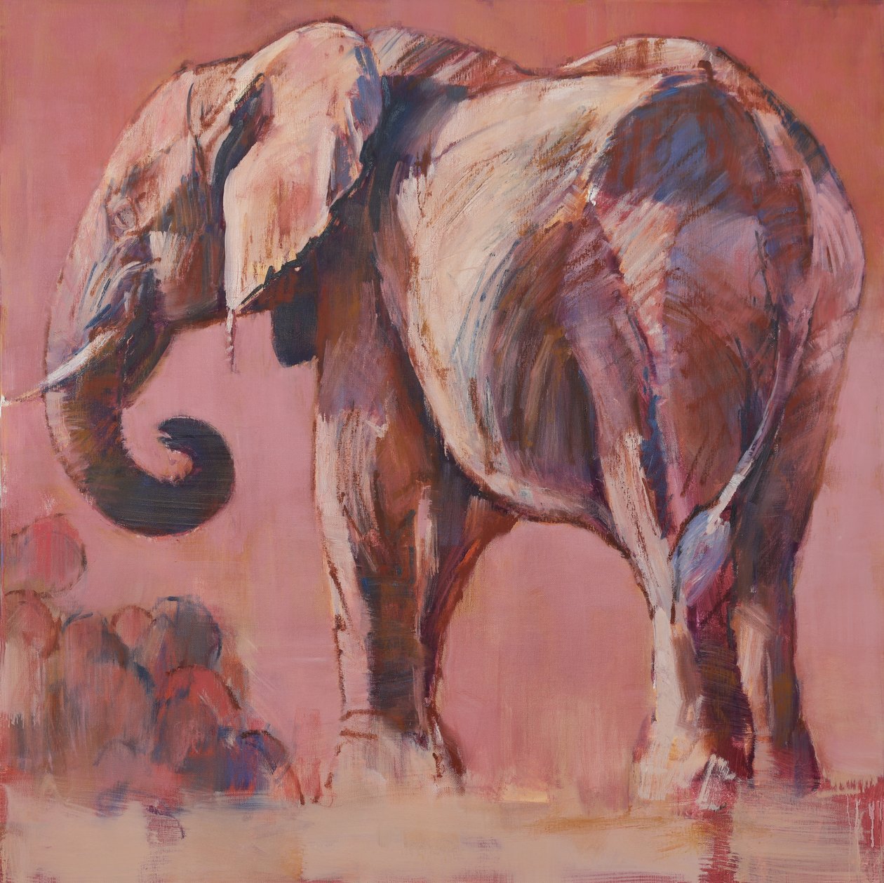 pembe, 2018 by Mark Adlington