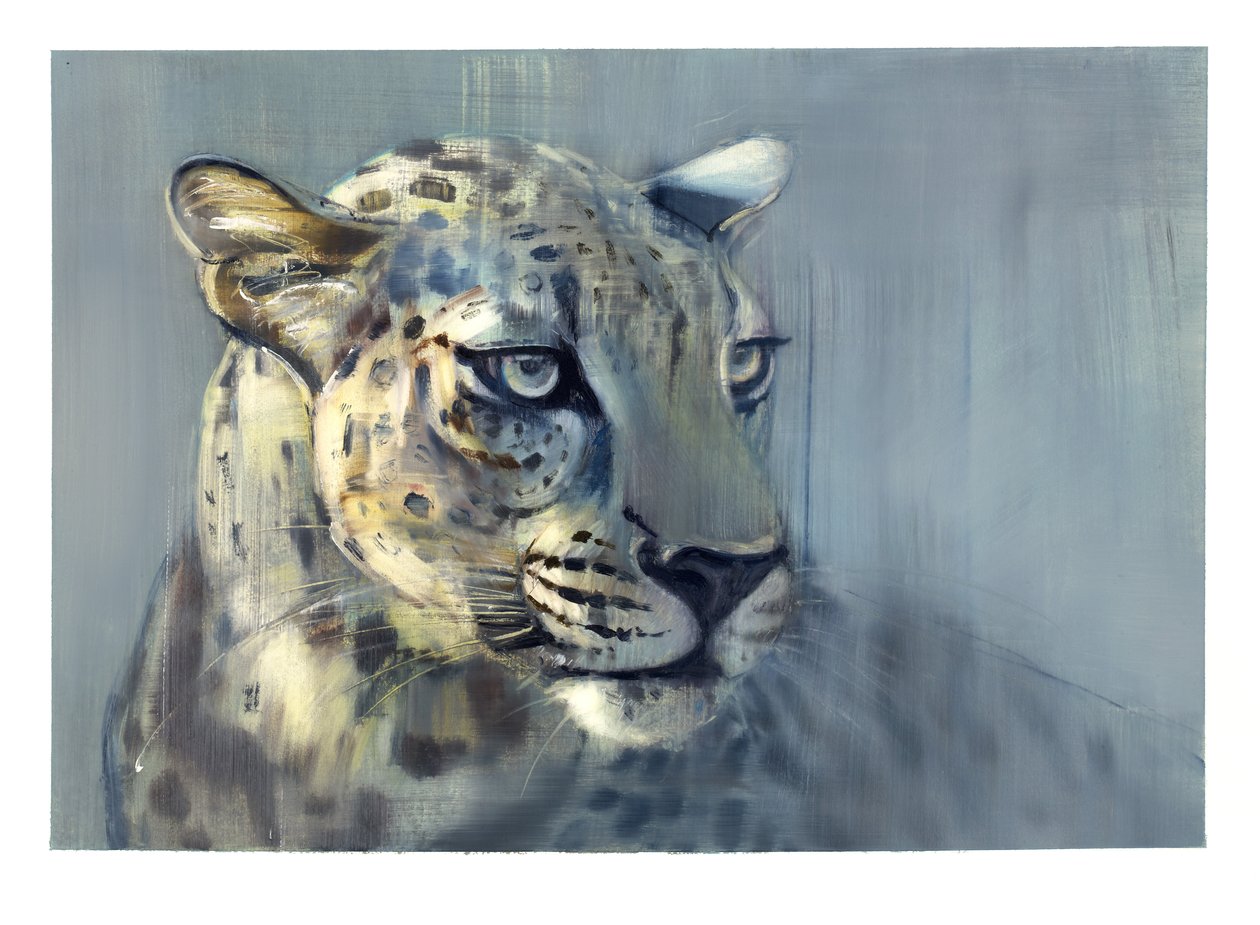 Predator II (Arap Leoparı), 2009 (kağıt üzerine yağlı boya) by Mark Adlington