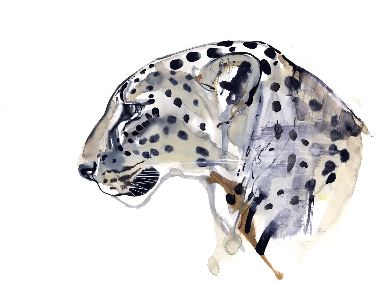 Profil (Arap Leoparı), 2008 by Mark Adlington
