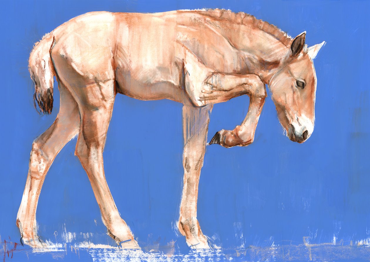 Przewalski Tay, 2012, (kağıt üzerinde karışık teknik) by Mark Adlington