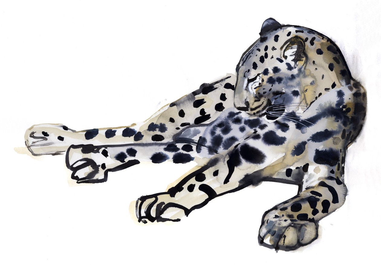 Yaslanmış (Arap Leoparı), 2008 by Mark Adlington