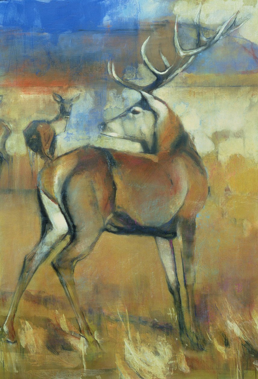 Kızıl Geyik, Gathering Deer