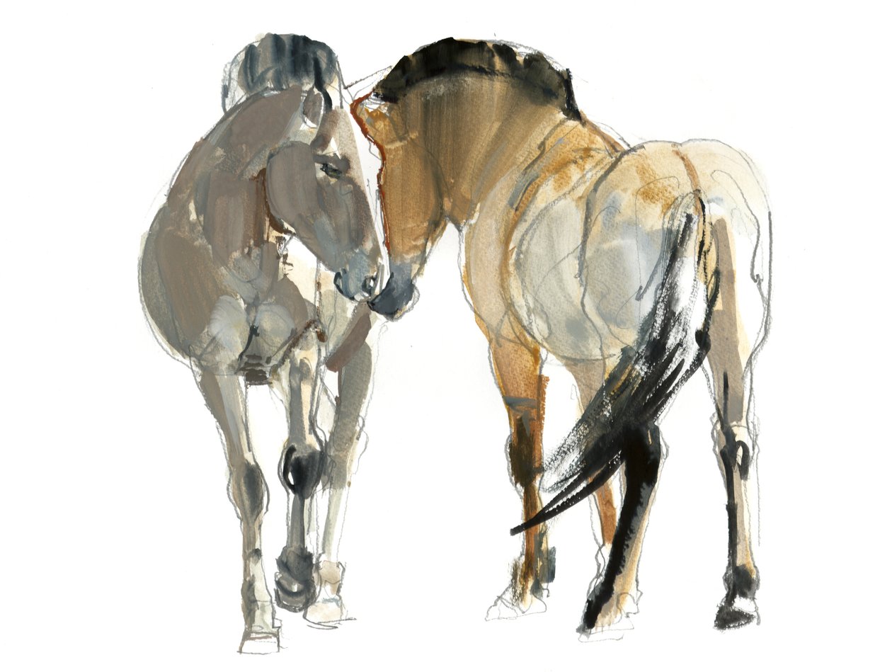 Rencontre (Przewalski), 2013, (kağıt üzerine suluboya ve pigment) by Mark Adlington