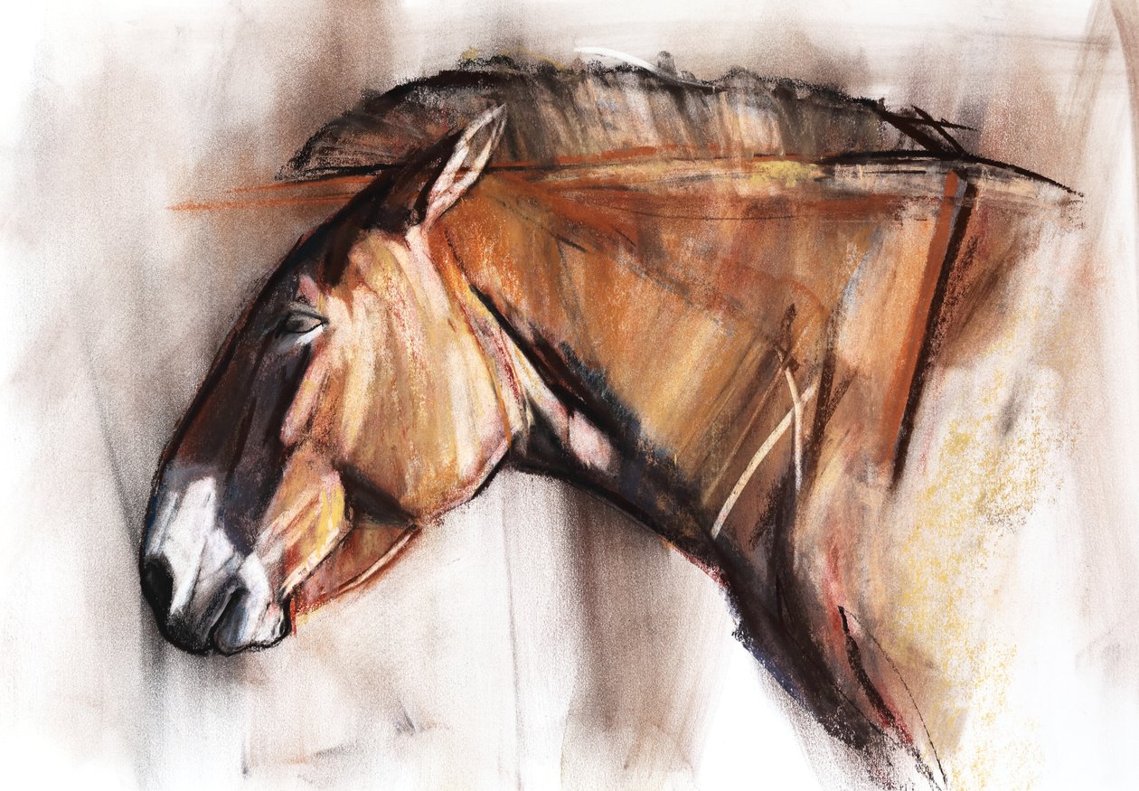 Dinlenme Atı, 2013, (kağıt üzerine pastel ve karakalem) by Mark Adlington