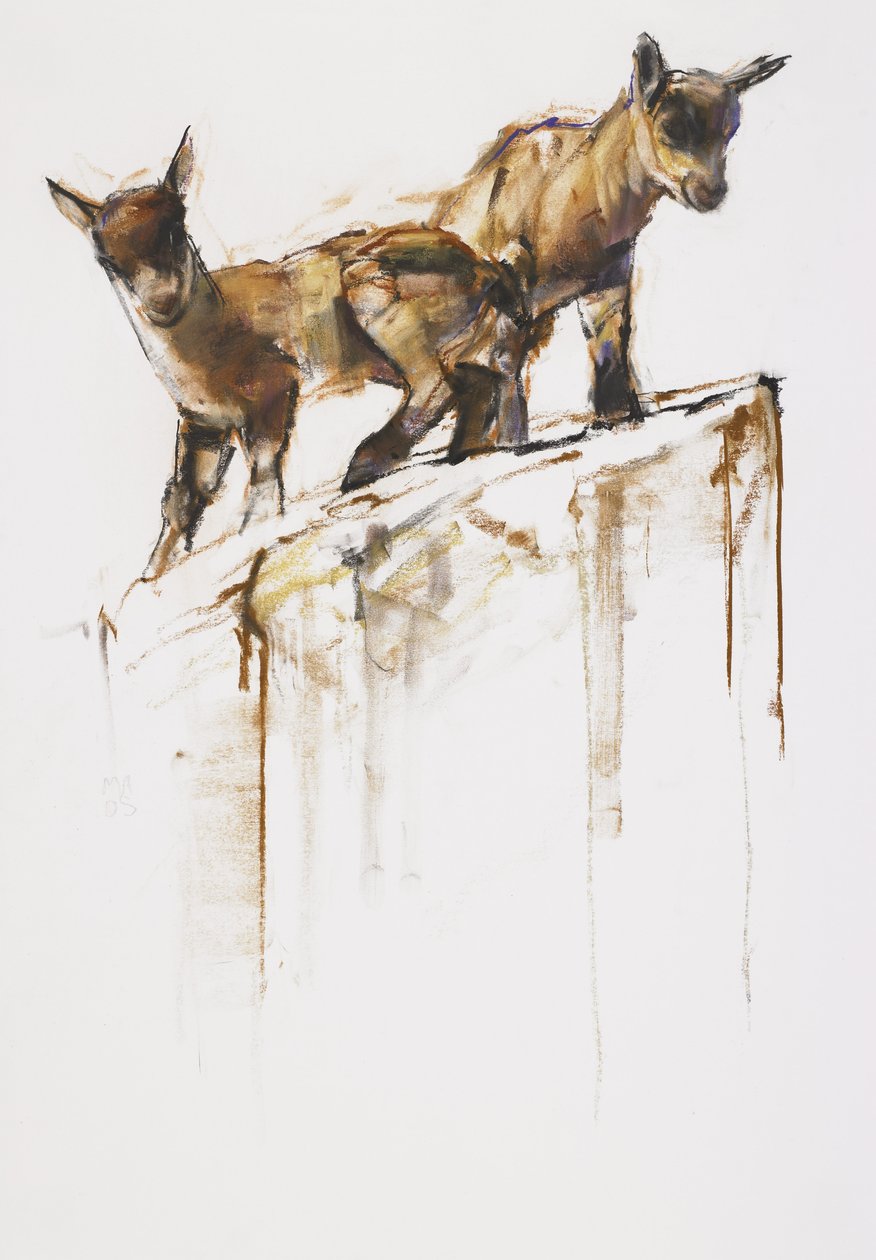 Rock Play, 2005 (kağıt üzerinde kömür ve conte) by Mark Adlington