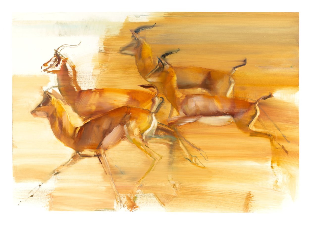 Koşan Gazeller, 2010 (kağıt üzerinde yağlı boya) by Mark Adlington