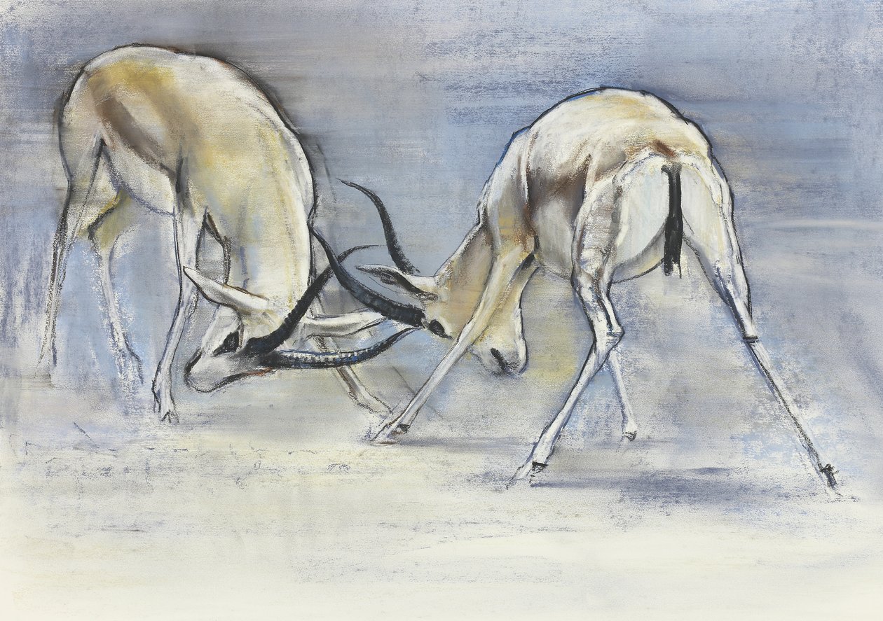 Kum Gazelleri, 2009 (kağıt üzerinde konte ve kömür) by Mark Adlington