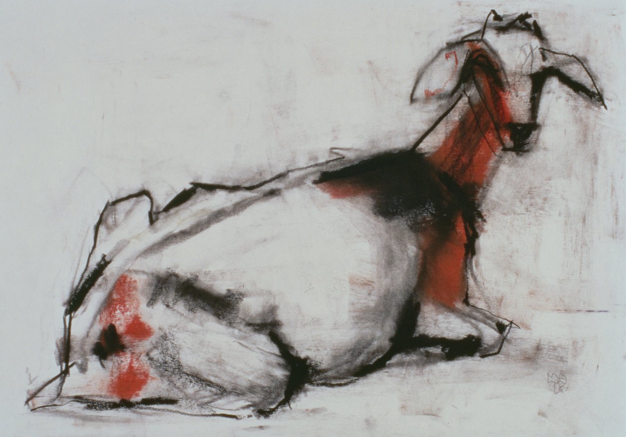 Oturan Keçi, 1998 (kağıt üzerinde conte ve kömür) by Mark Adlington