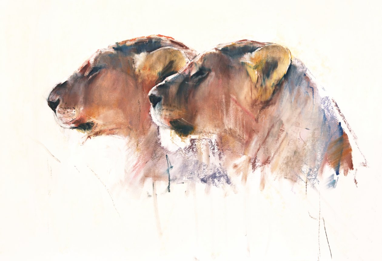 Kızkardeşler, Etoşa, 2017 by Mark Adlington
