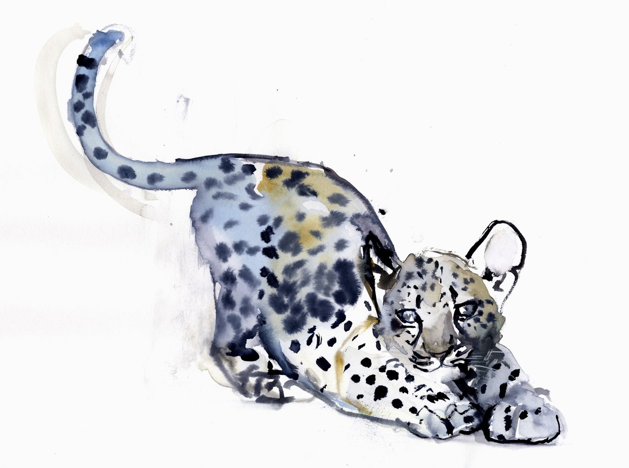 Esneme Yavrusu (Arap Leoparı), 2008 by Mark Adlington