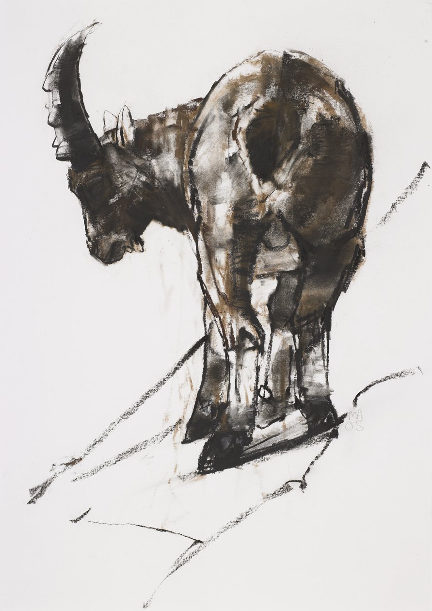 Sun, Crocheneville, 2005 (kağıt üzerinde kömür und conte) by Mark Adlington