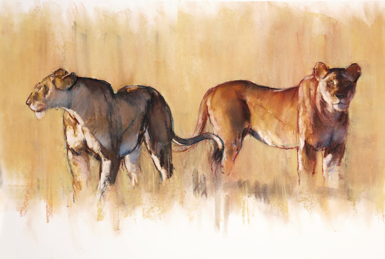 Avcılık Eğitmenleri, 2019 by Mark Adlington