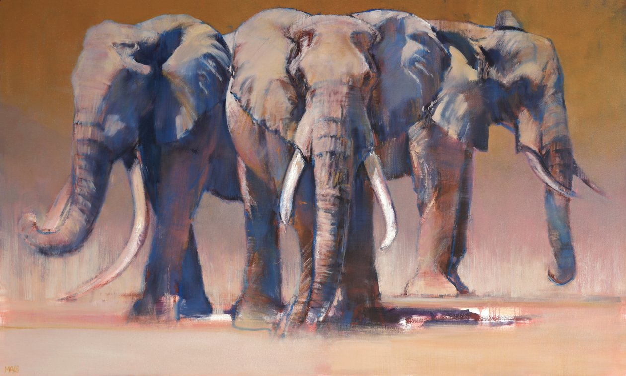 üç, 2018 by Mark Adlington