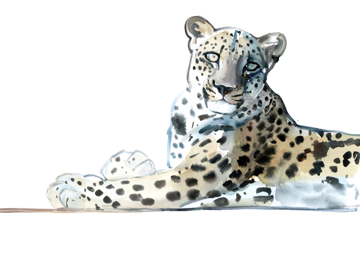 Tilt (Arap Leoparı), 2015, (kağıt üzerine suluboya ve guaj) by Mark Adlington