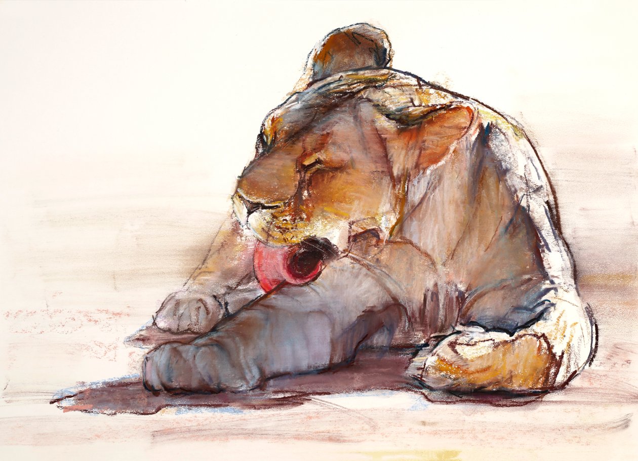 Dil Banyosu, 2019 by Mark Adlington