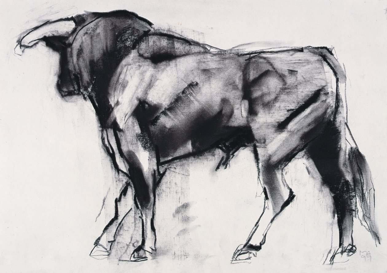 Toro Azul, çalışma (kağıt üzerinde kömür) by Mark Adlington