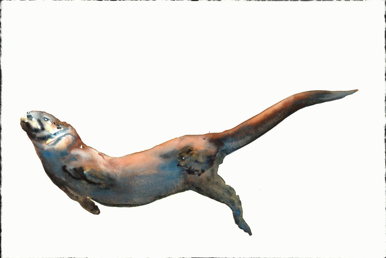 Bilinmeyen başlık by Mark Adlington