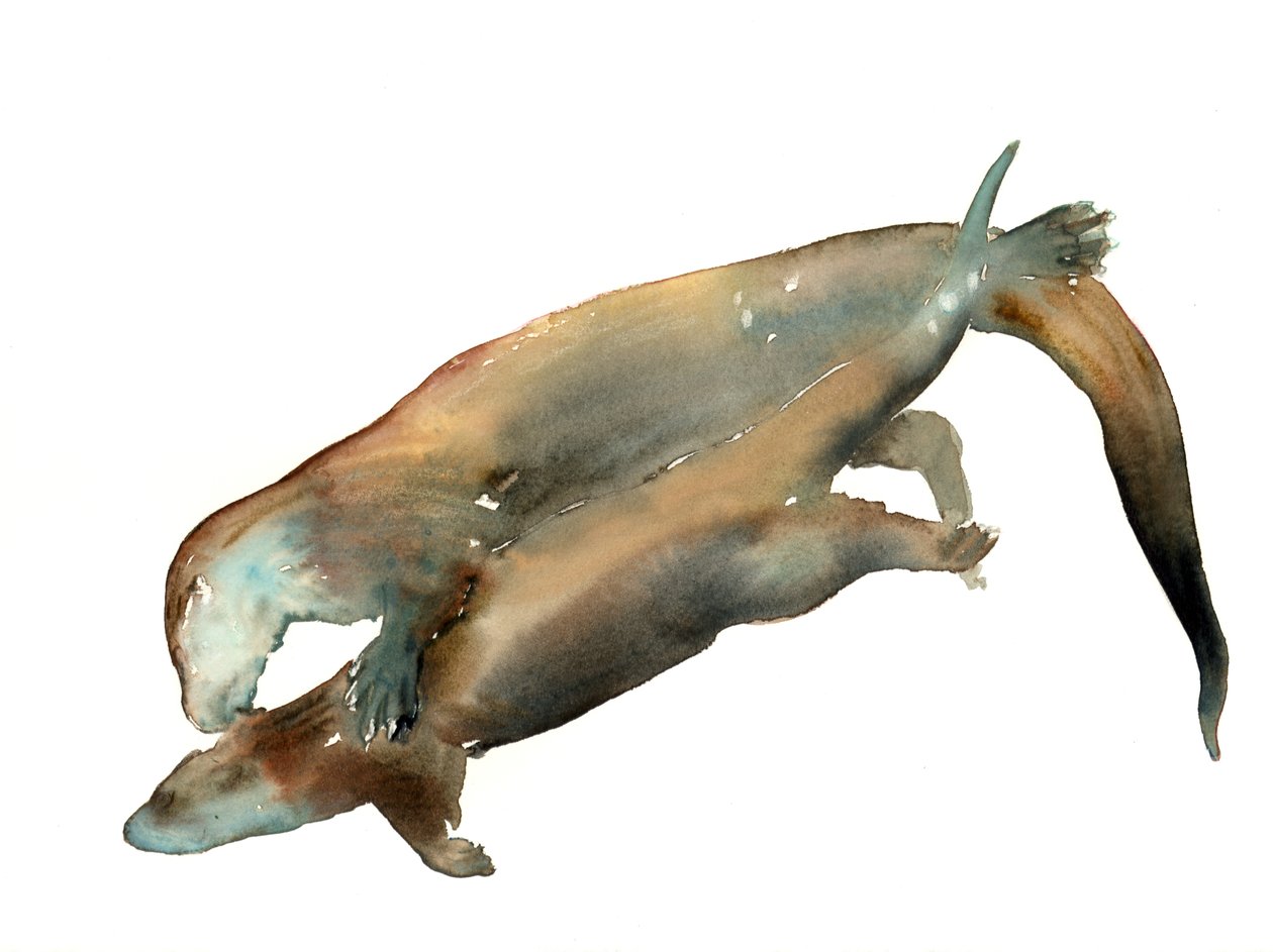Bilinmeyen başlık by Mark Adlington