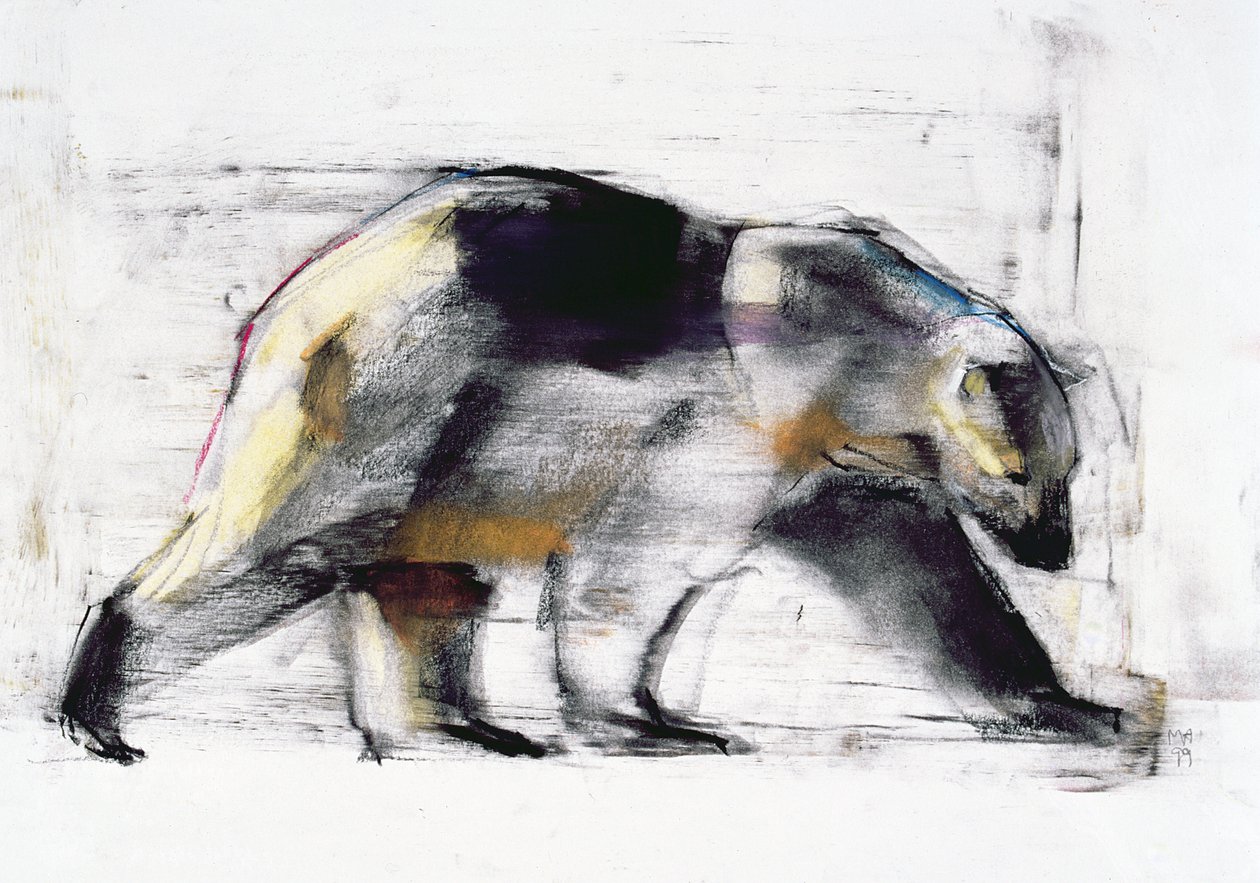 Ursus Maritimus, 1999 (kağıt üzerinde kömür ve conte) by Mark Adlington