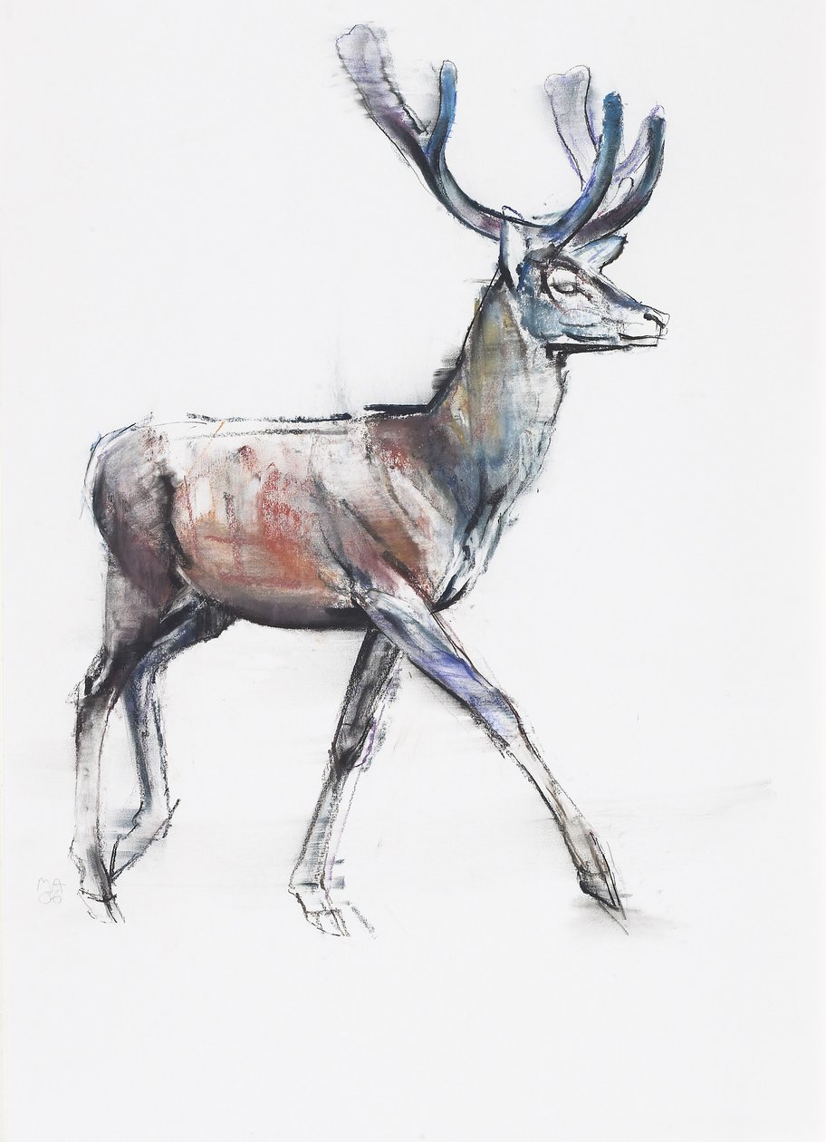 Kadife, 2006 (kağıt üzerinde kömür ve conte) by Mark Adlington