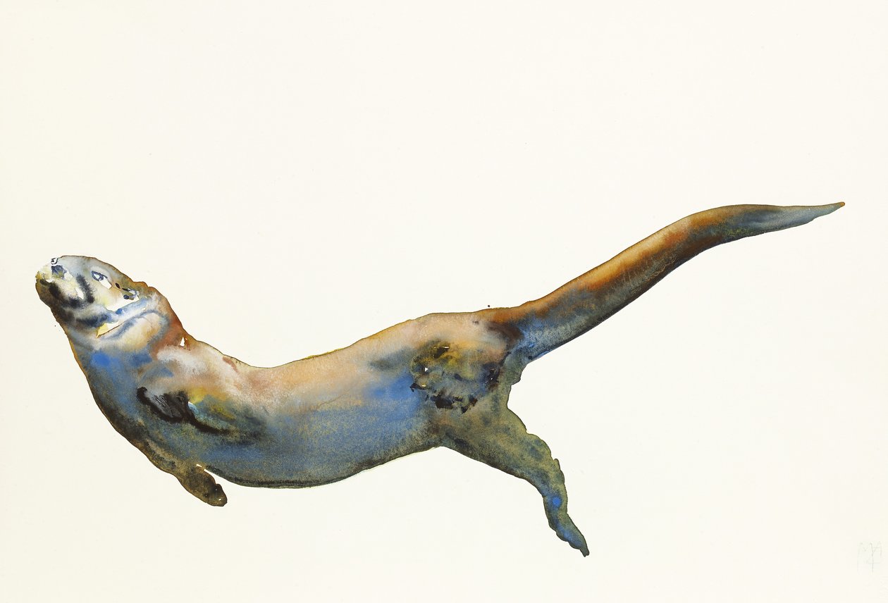 Kadife, 2014, (kağıt üzerine sulu boya) by Mark Adlington