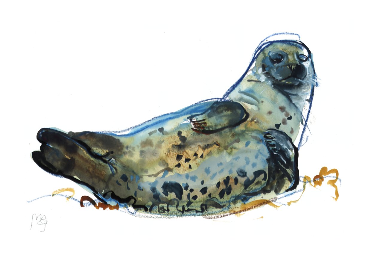 Westcove mührü, 2019 by Mark Adlington
