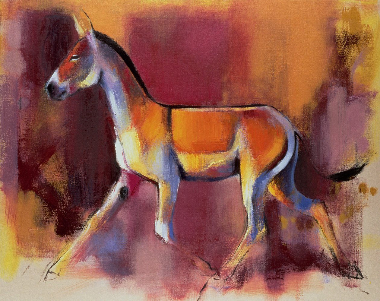 Vahşi Eşek, Kutch Rann, 1996 by Mark Adlington