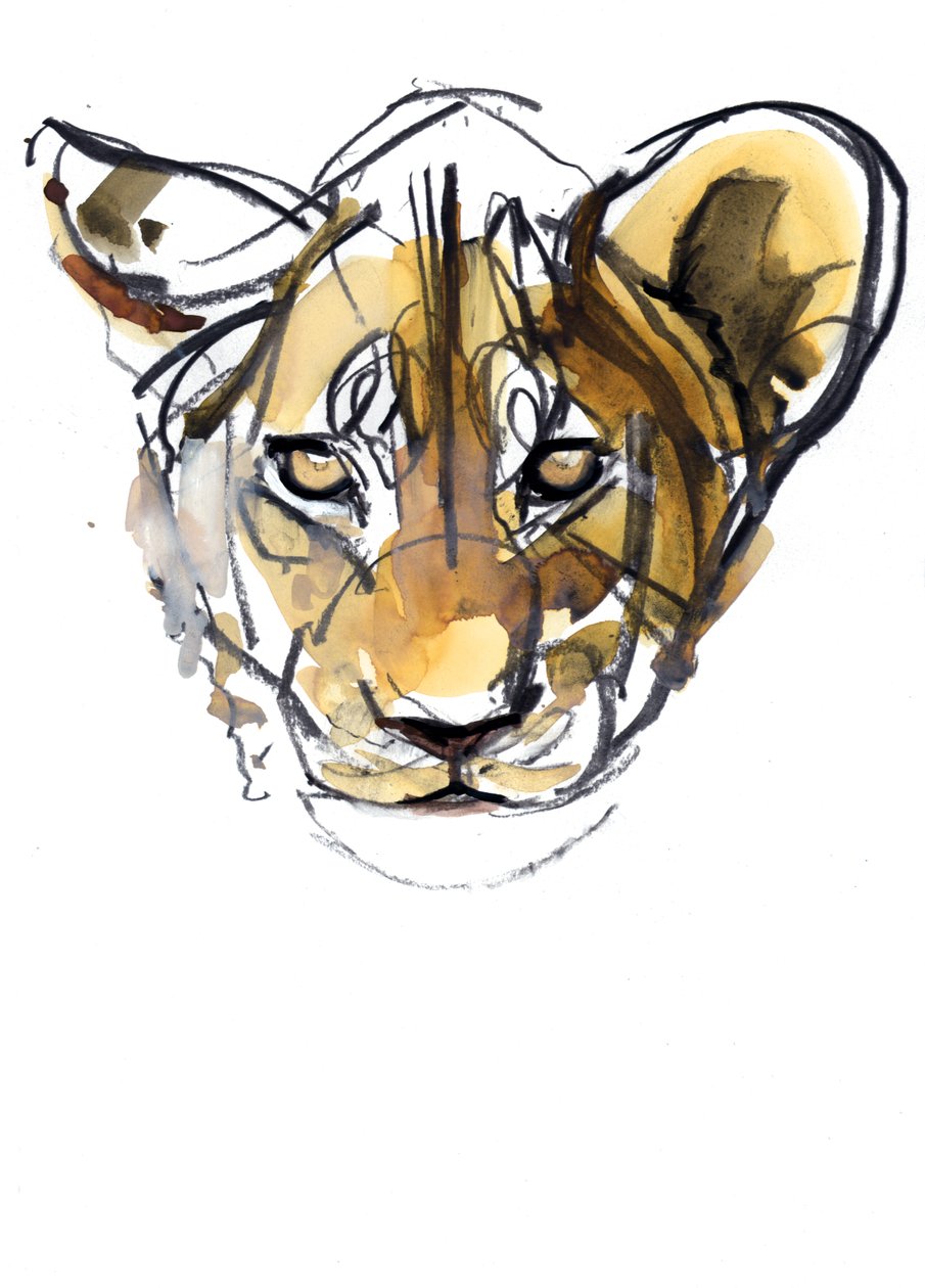 Sarı Yavru, 2019 by Mark Adlington