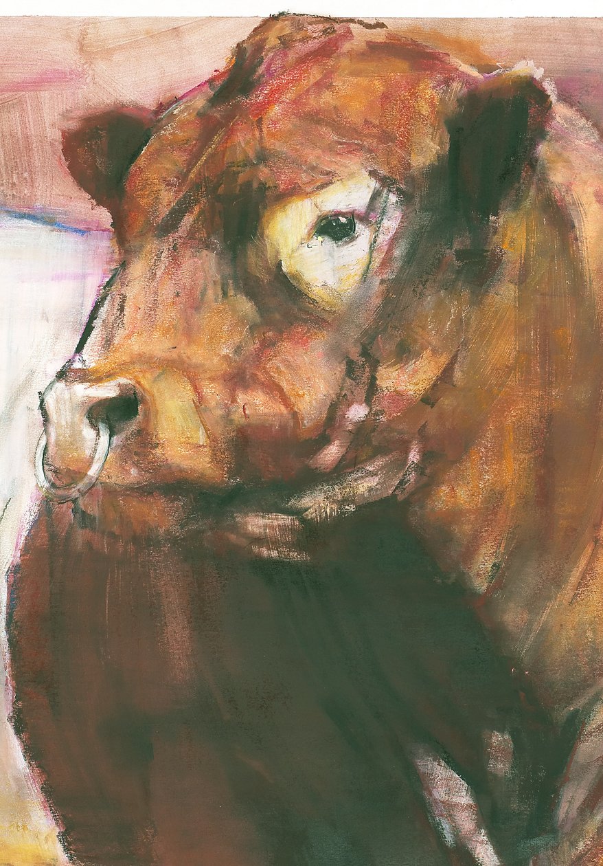 Zeus, Red Belted Galloway Bull, 2006 275255 kağıt detayı üzerine karışık teknik by Mark Adlington