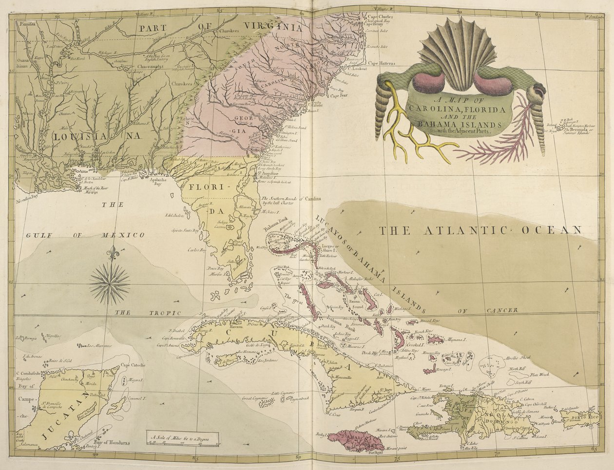 Carolina, Florida ve Bahama Adaları Haritası by Mark Catesby