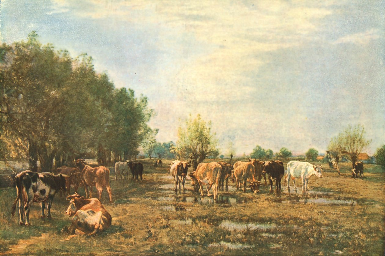 Sığırlı Fen Meadows, 1877, c1930. by Mark Fisher