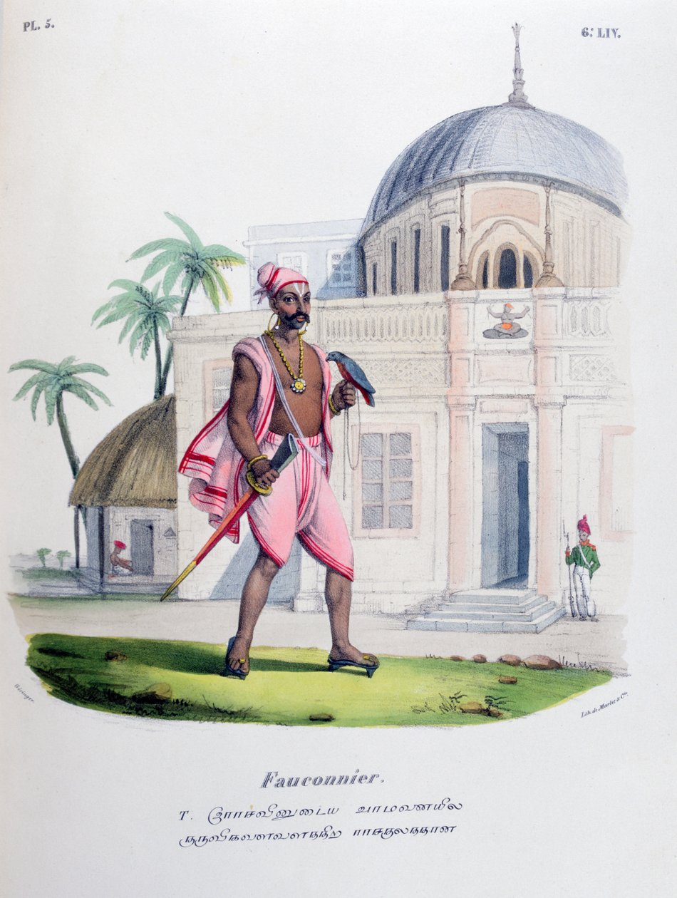 Falconer, 1828 by Marlet et Cie
