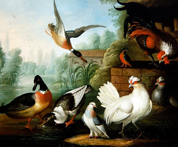 Tavuk, Ördek ve Yalıçapkını ile Bir Manzara (tuval üzerine yağlı boya) by Marmaduke Craddock
