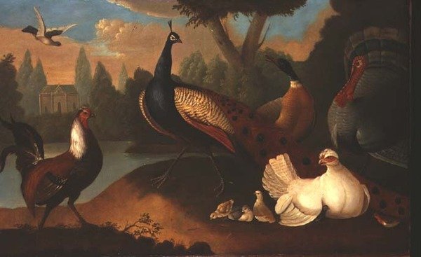 Çeşitli kuşlar ile manzara by Marmaduke Craddock