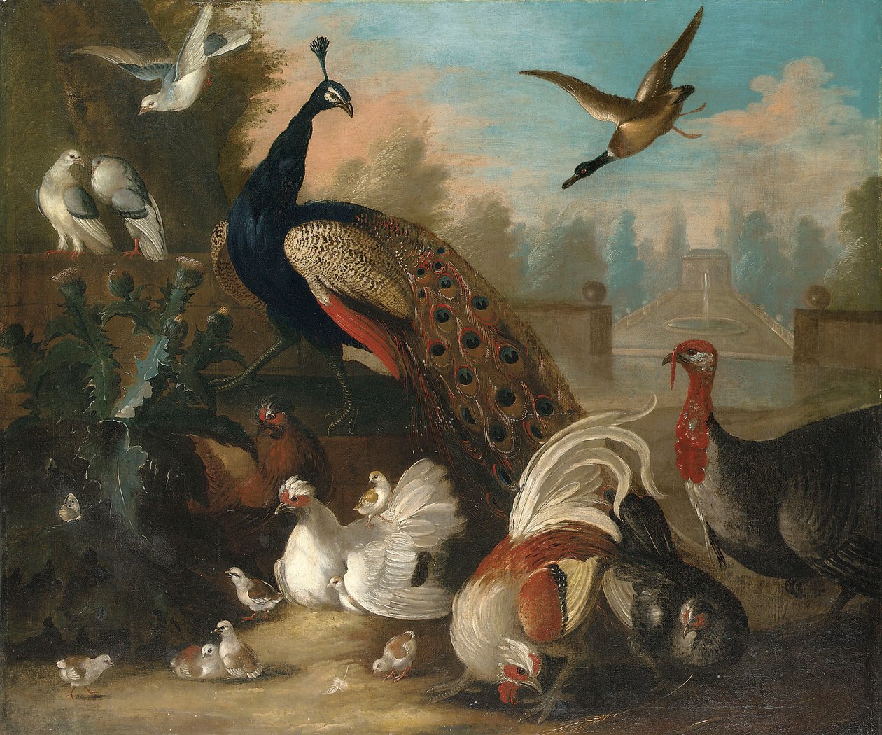 Süs Peyzajında Tavus Kuşu ve Diğer Kuşlar by Marmaduke Cradock