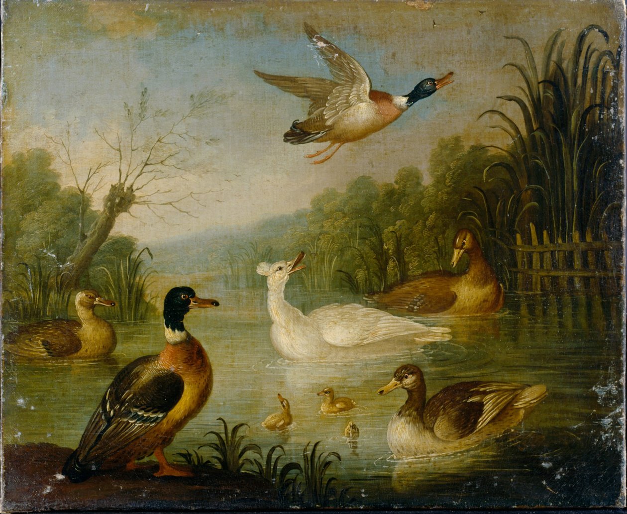 Bir gölet üzerinde yeşilbaşlar by Marmaduke Cradock