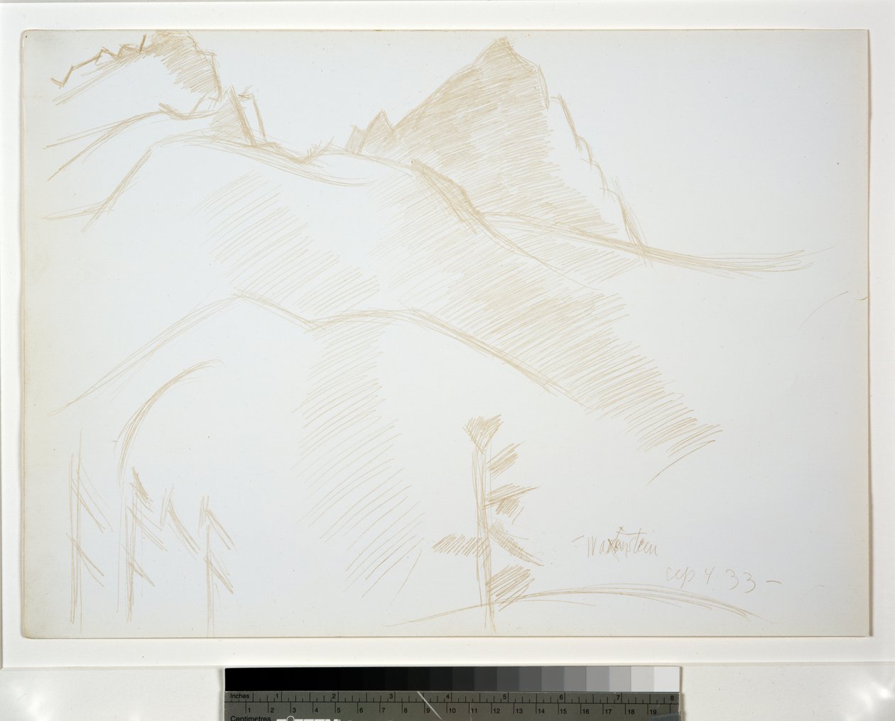 Çam Ağaçları ile Dağ Manzarası by Marsden Hartley