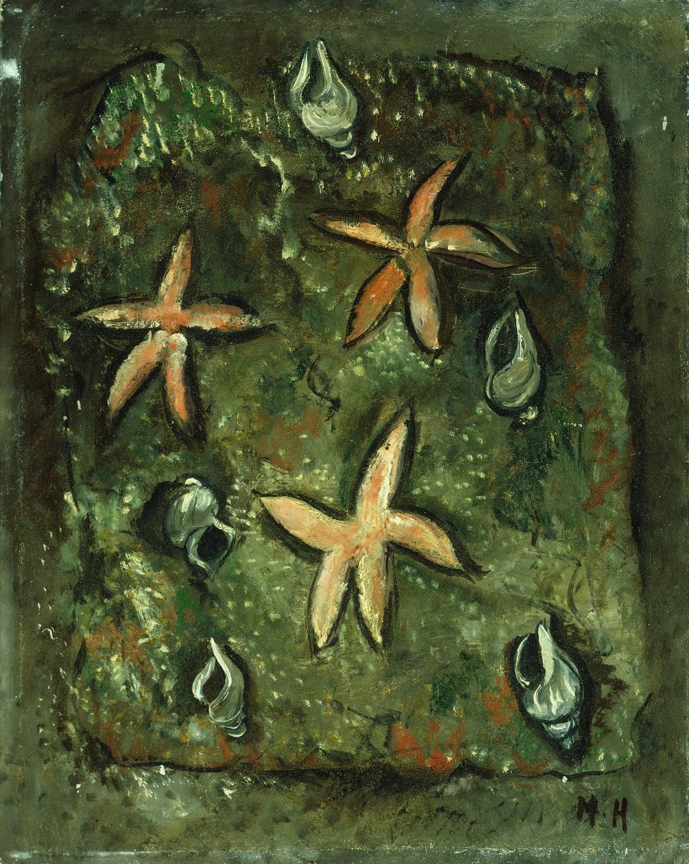 Yıldız balığı ve kabukları by Marsden Hartley