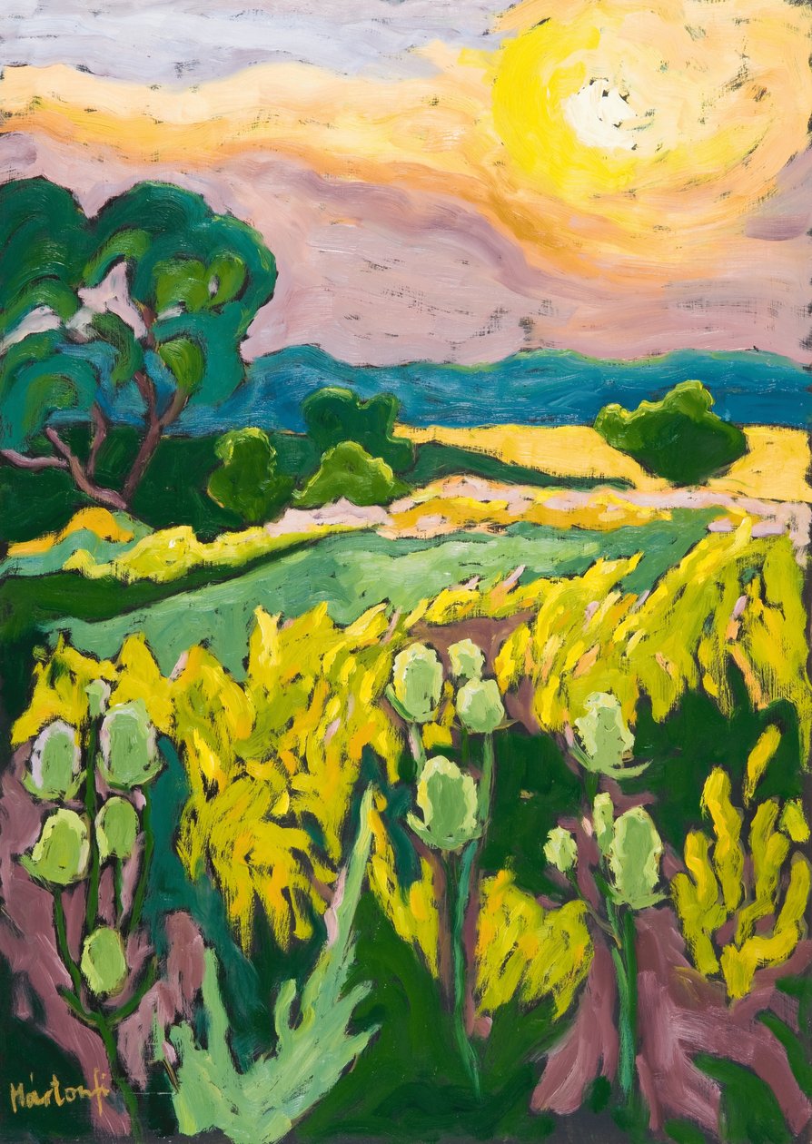 gök ateşi, 2007 by Marta Martonfi Benke
