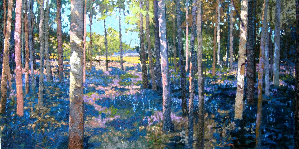 Bluebell Wood, 2009 by Martin Decent