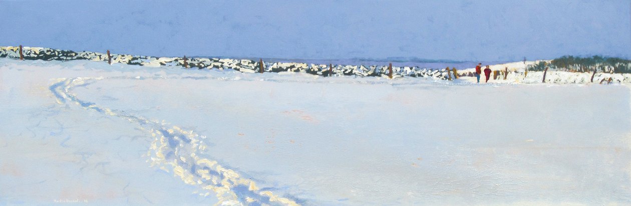 Yaklaşan Kar, 2013 by Martin Decent