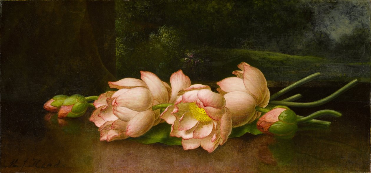 Arka Planda Manzara Resmi Olan Lotus Çiçekleri by Martin Johnson Heade