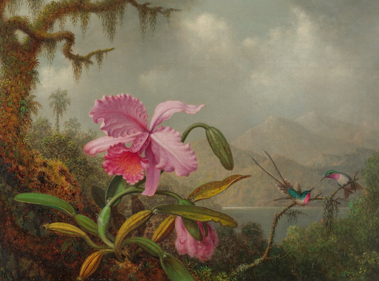 Orkideler ve Sinek Kuşları by Martin Johnson Heade