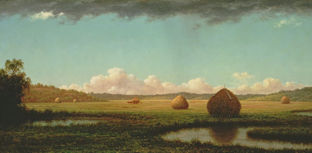 Yaz Yağmurları, c.1862-63 by Martin Johnson Heade