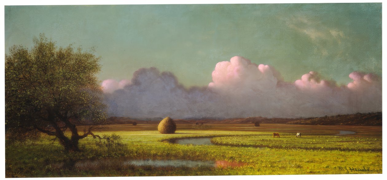 Güneş Işığı ve Gölge: Newbury Bataklıkları by Martin Johnson Heade